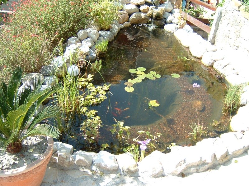 bassin de jardin reglementation